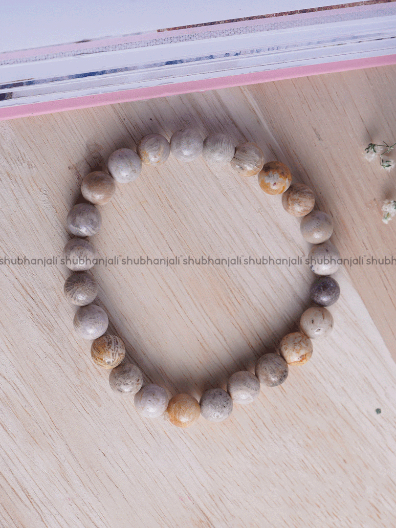 Fossil Jasper Bracelet 8mm