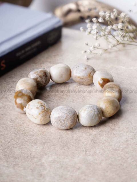 Natural Fossil Jasper Tumble Bracelet