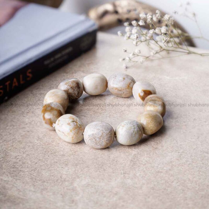 Natural Fossil Jasper Tumble Bracelet