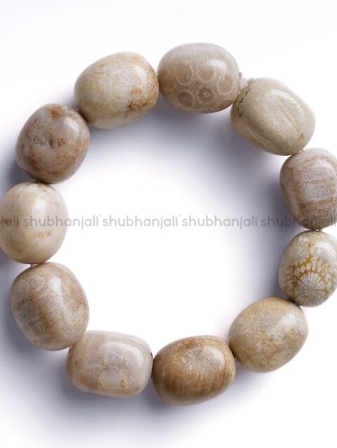 Natural Fossil Jasper Tumble Bracelet