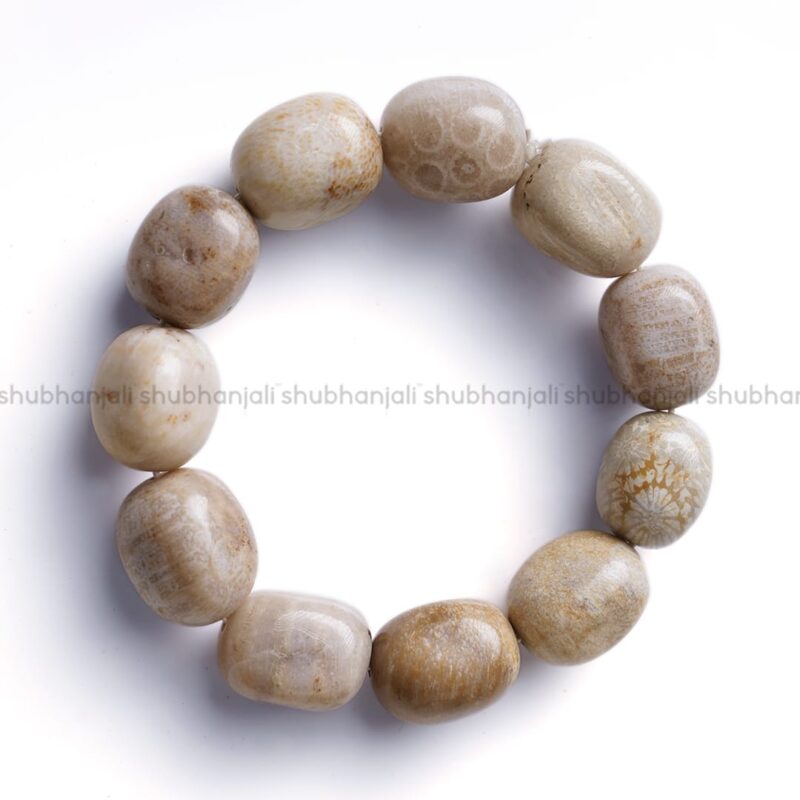 Natural Fossil Jasper Tumble Bracelet